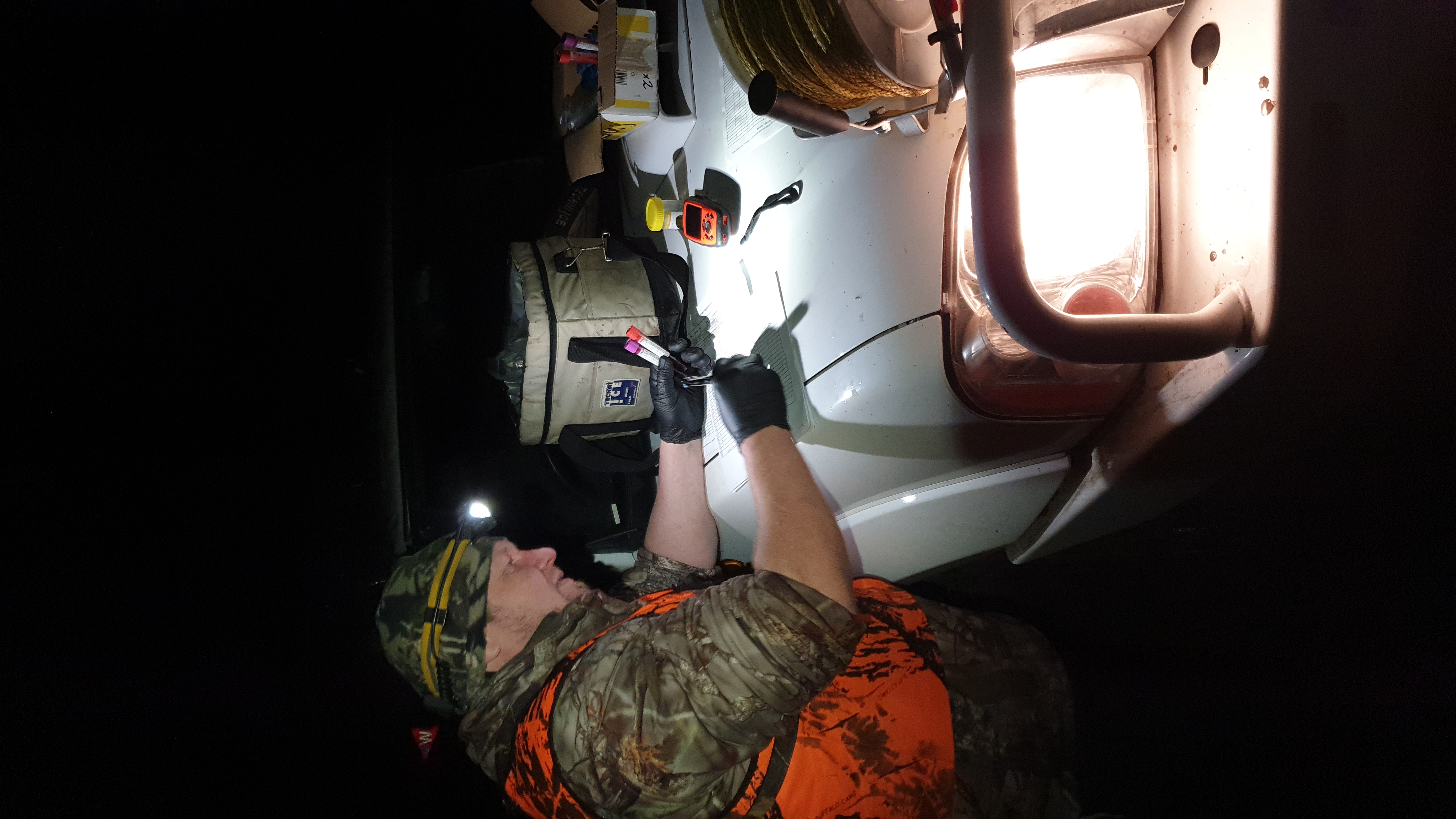 Data collection and reporting